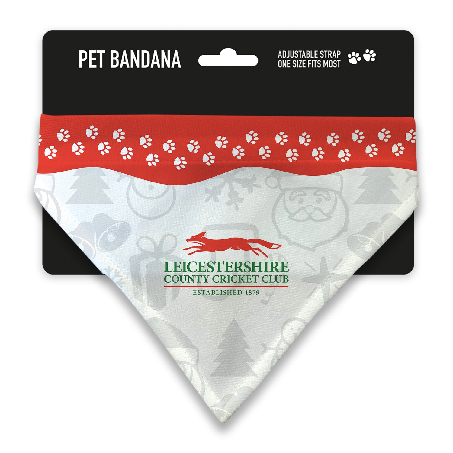 Leicestershire County Cricket Club